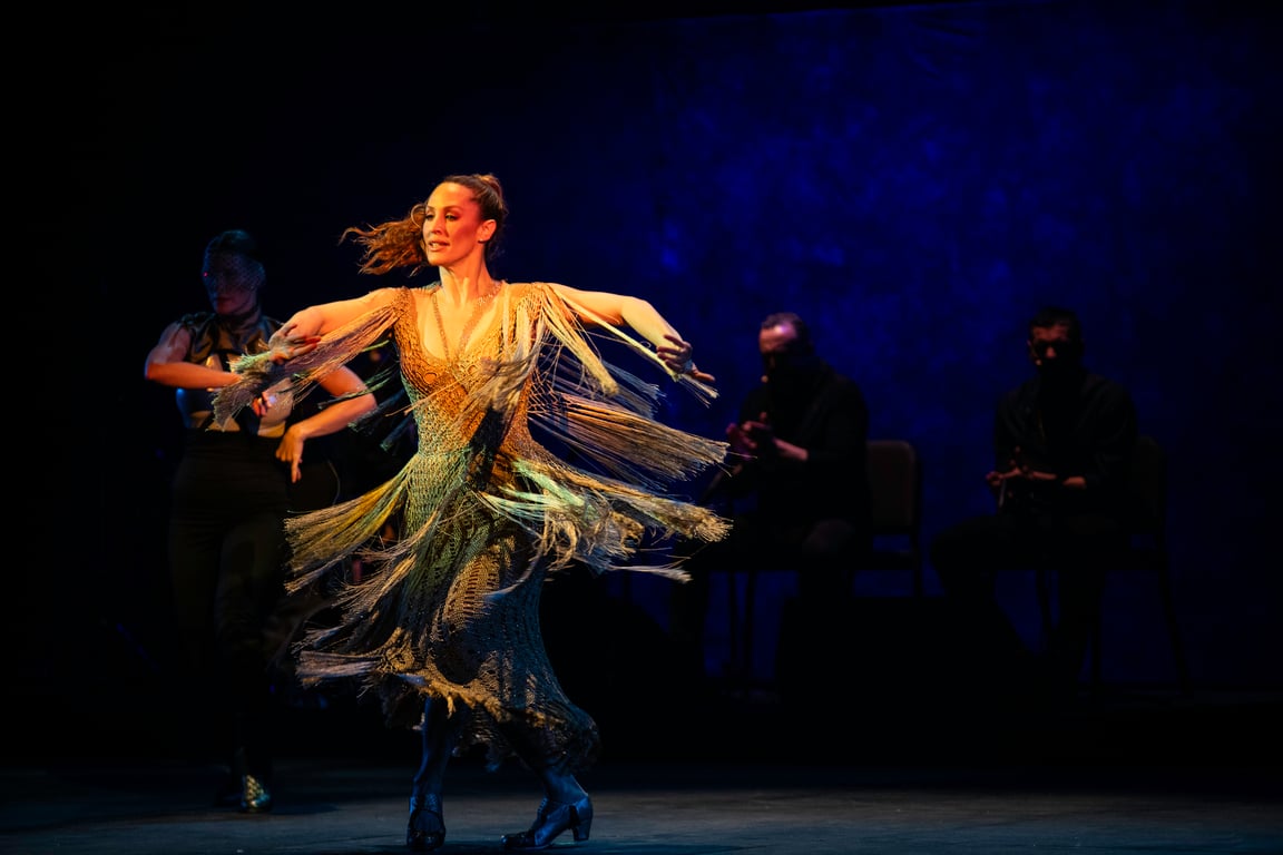 Bailaora, Mis Pies Son Mi Voz