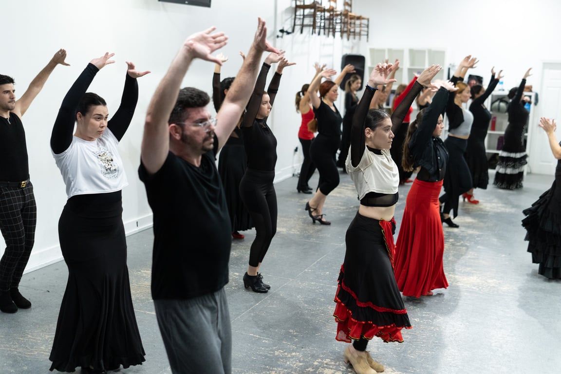 Private Flamenco Lessons