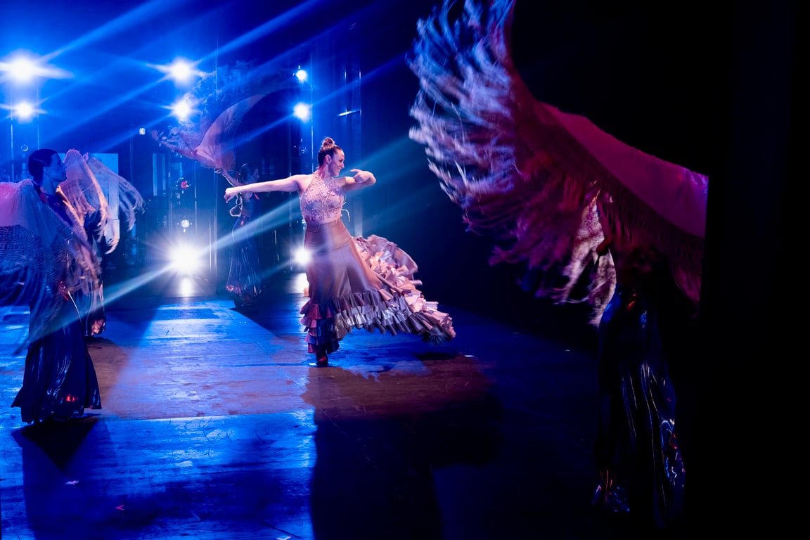 Bailaora, Mis Pies Son Mi Voz