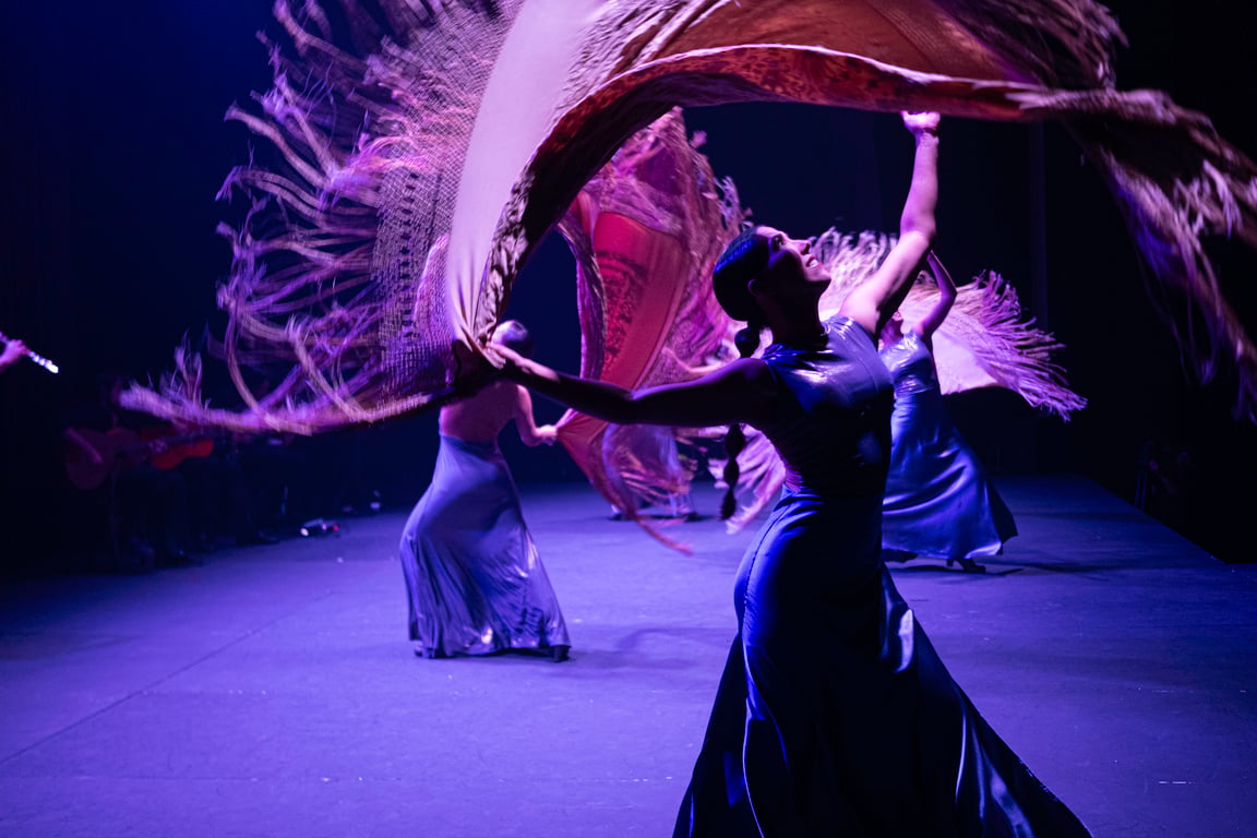 Bailaora, Mis Pies Son Mi Voz