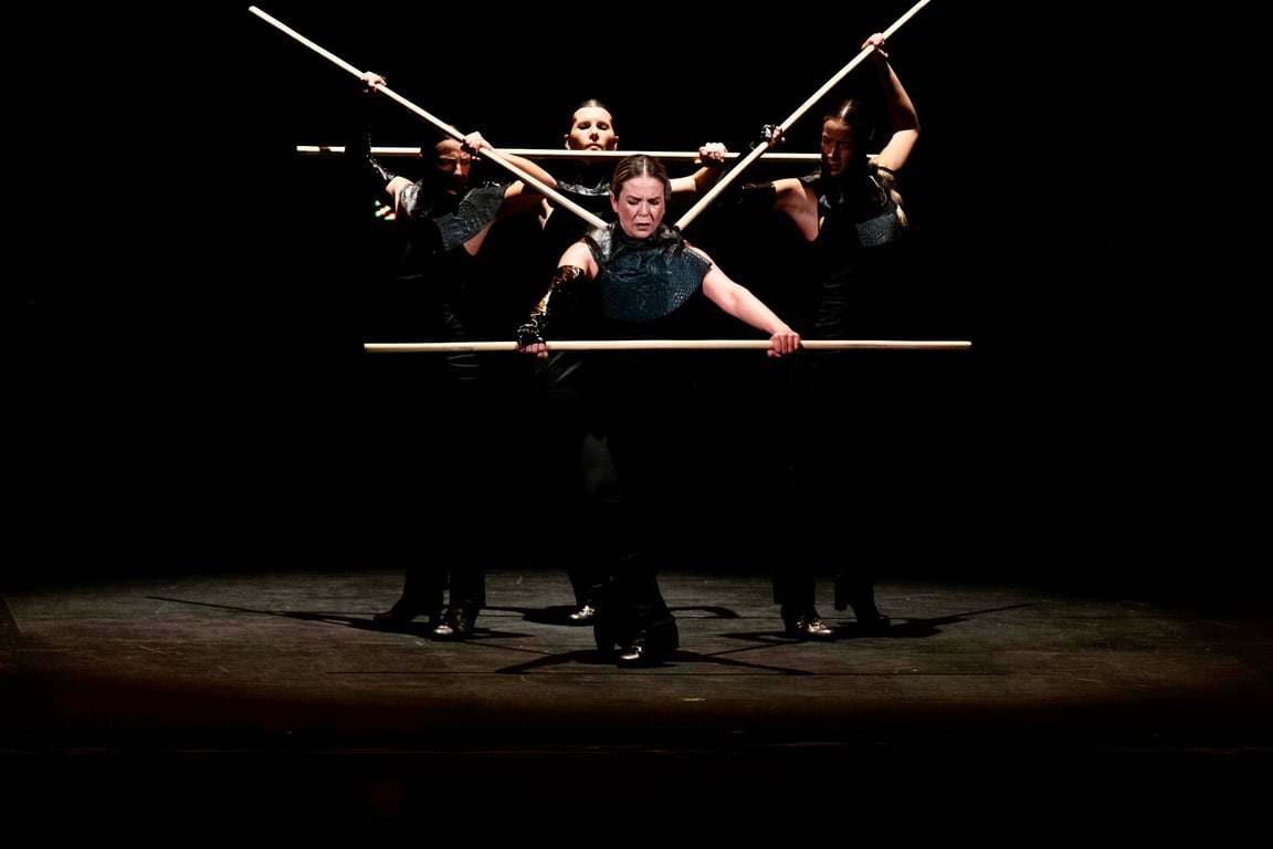 Bailaora, Mis Pies Son Mi Voz