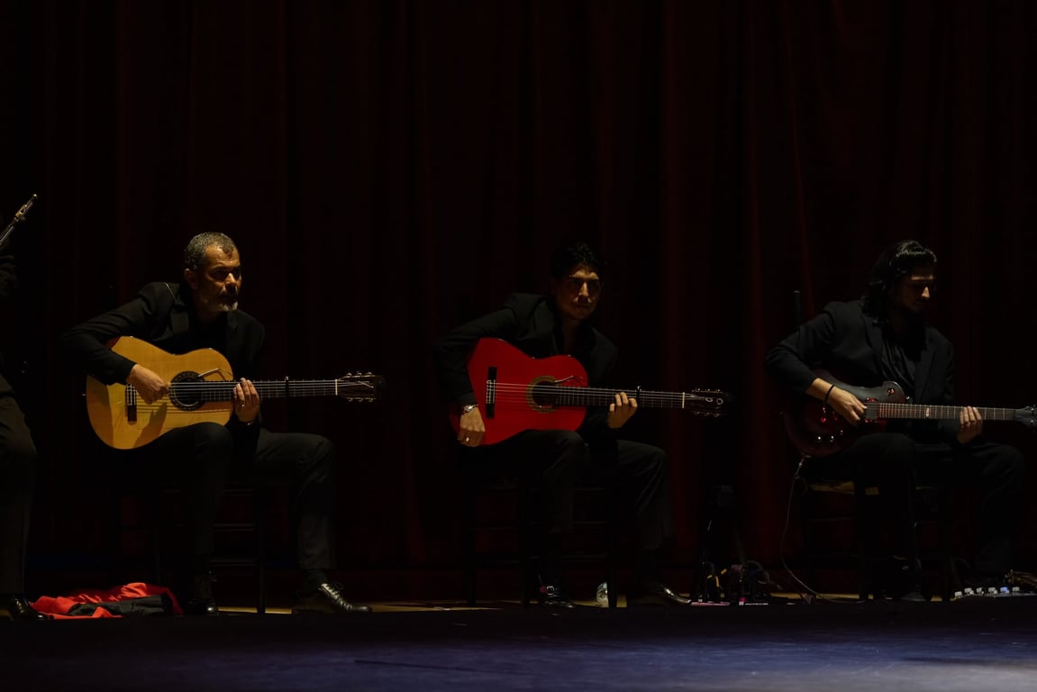 Flamenco Emerging Talent