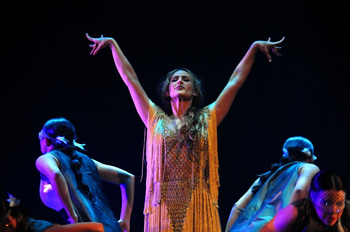 Bailaora, Mis Pies Son Mi Voz