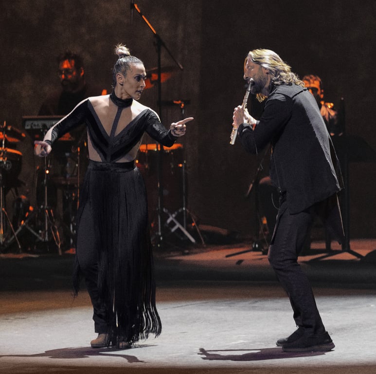 Bailaora, Mis Pies Son Mi Voz