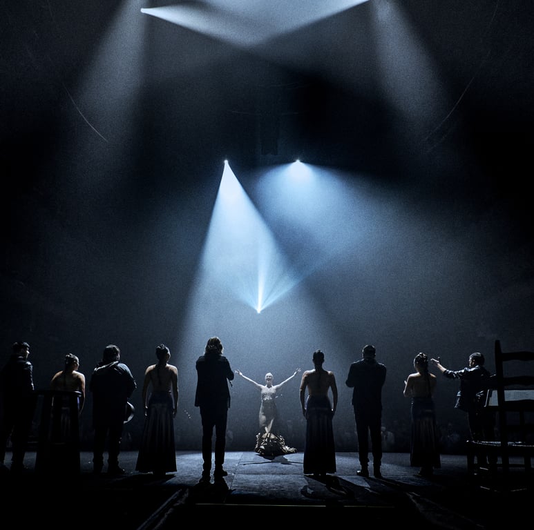 Siudy Flamenco Dance Theater