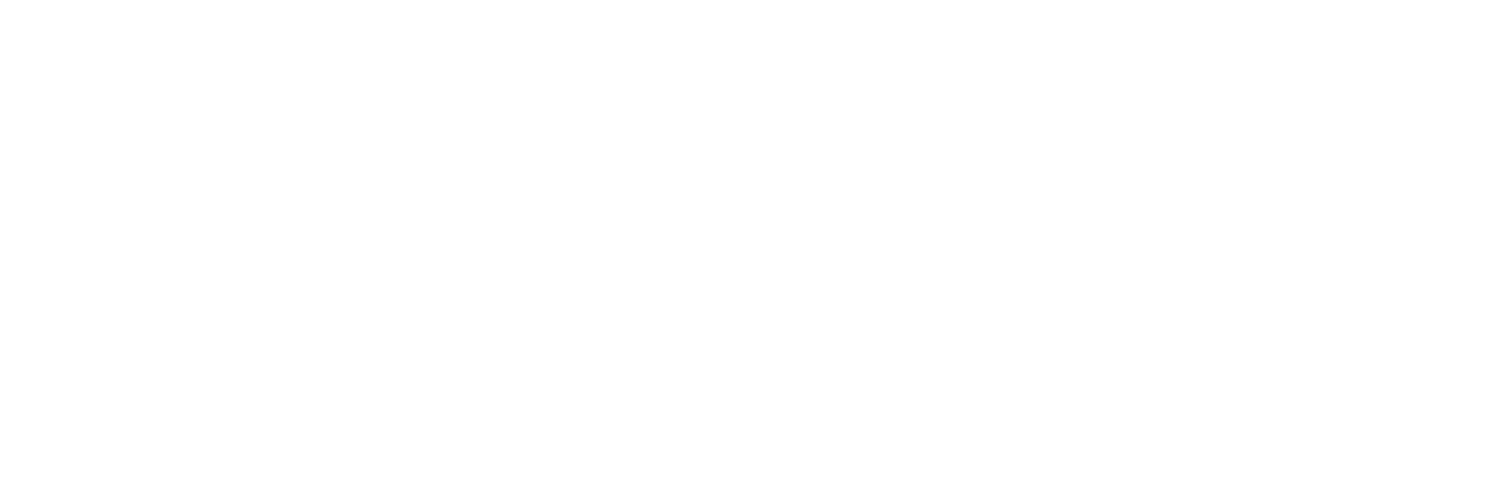 Millionaire Metamorphosis logo