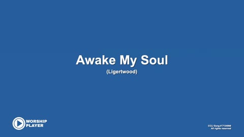 Awake My Soul (Acoustic)