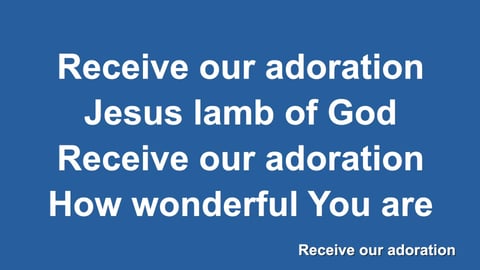 Adoration (Acoustic)