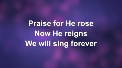 A Thousand Hallelujahs (Acoustic)