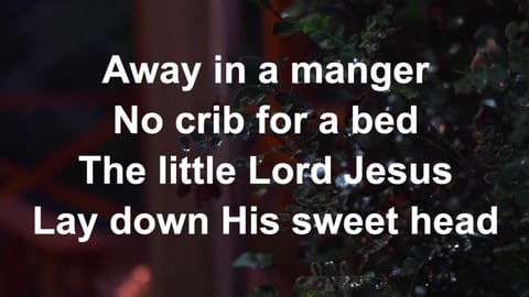 Away In A Manger (Cradle Song) (Organ)