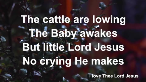 Away In A Manger (Cradle Song) (Organ)