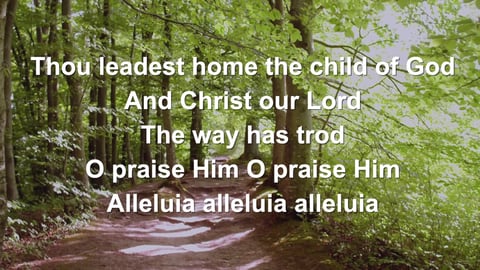 All Creatures Of Our God And King (Organ)