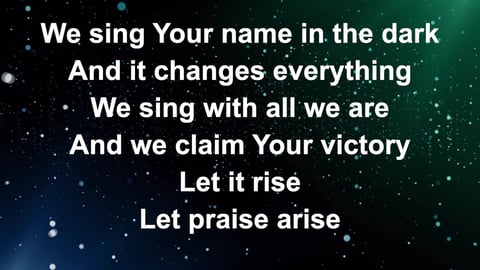 We Praise You (Acoustic)