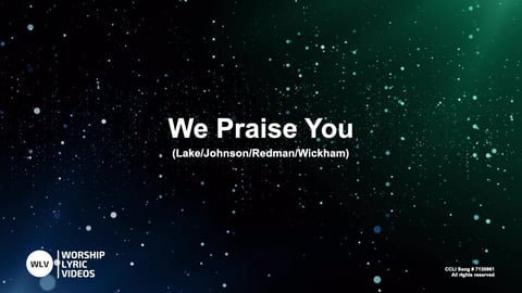 We Praise You (Acoustic)