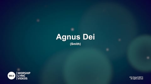 Agnus Dei (Acoustic)