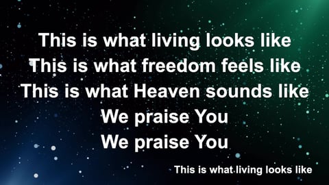 We Praise You (Acoustic)