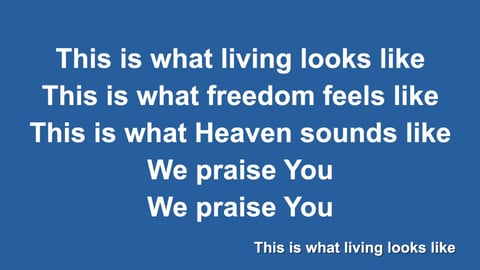 We Praise You (Acoustic)