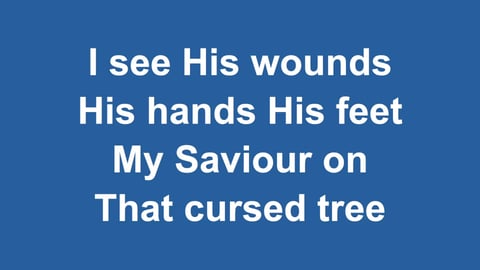 O Praise The Name (Anastasis) (Acoustic)