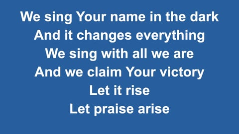 We Praise You (Acoustic)