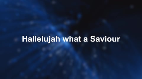Hallelujah What A Saviour