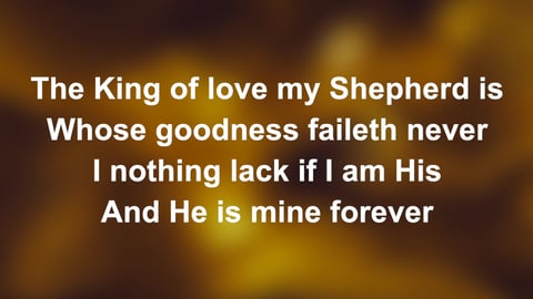 The King Of Love