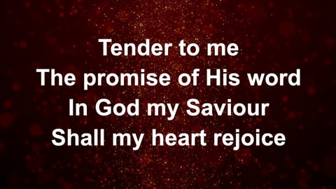 Tell Out My Soul