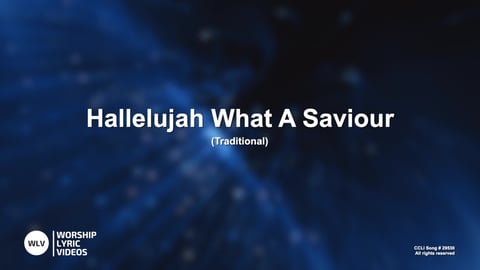 Hallelujah What A Saviour