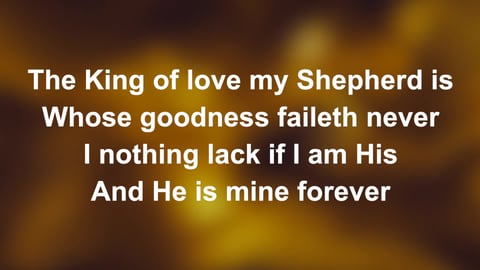 The King Of Love