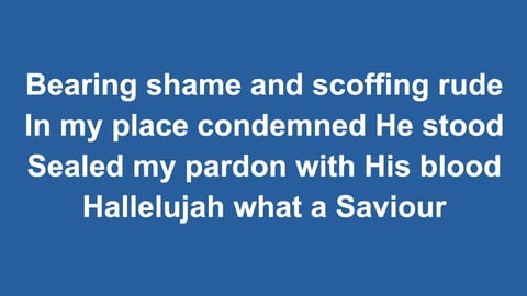Hallelujah What A Saviour