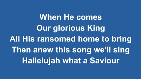 Hallelujah What A Saviour