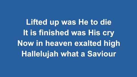 Hallelujah What A Saviour