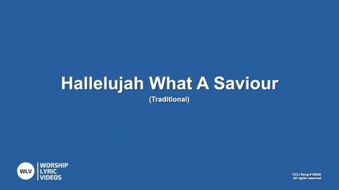 Hallelujah What A Saviour