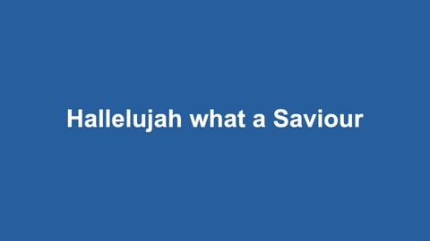Hallelujah What A Saviour