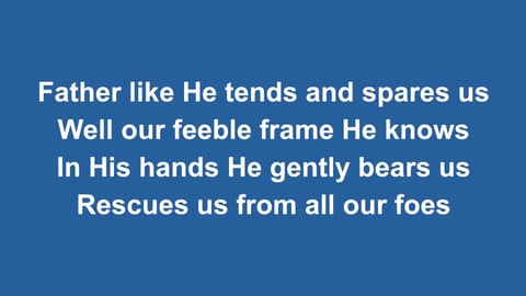 Praise My Soul The King Of Heaven