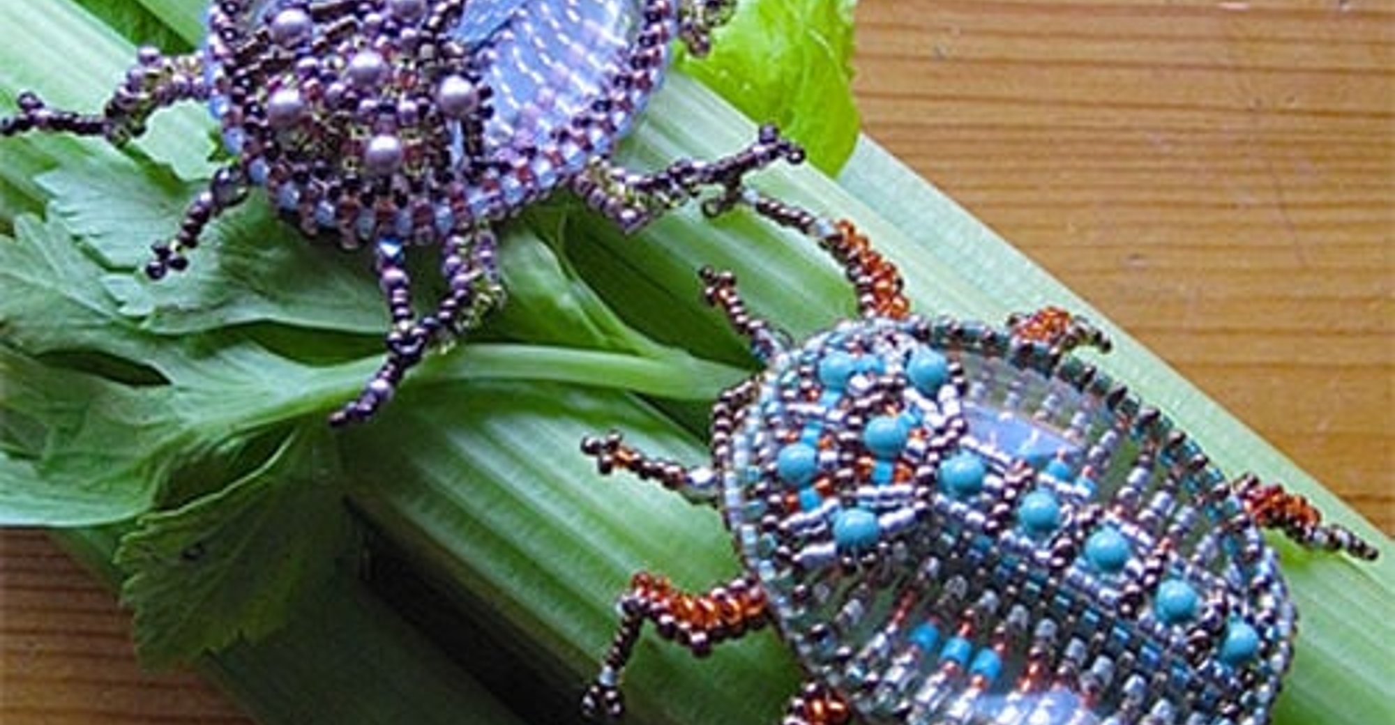 Glass Beetle