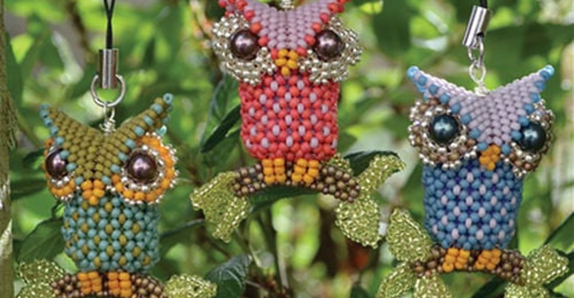 Little Owl
