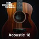 I Surrender (Acoustic)