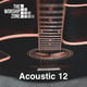 The Worship Zone Acoustic 12