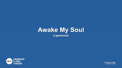 Awake My Soul (Acoustic)