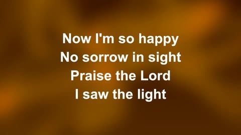 I Saw The Light