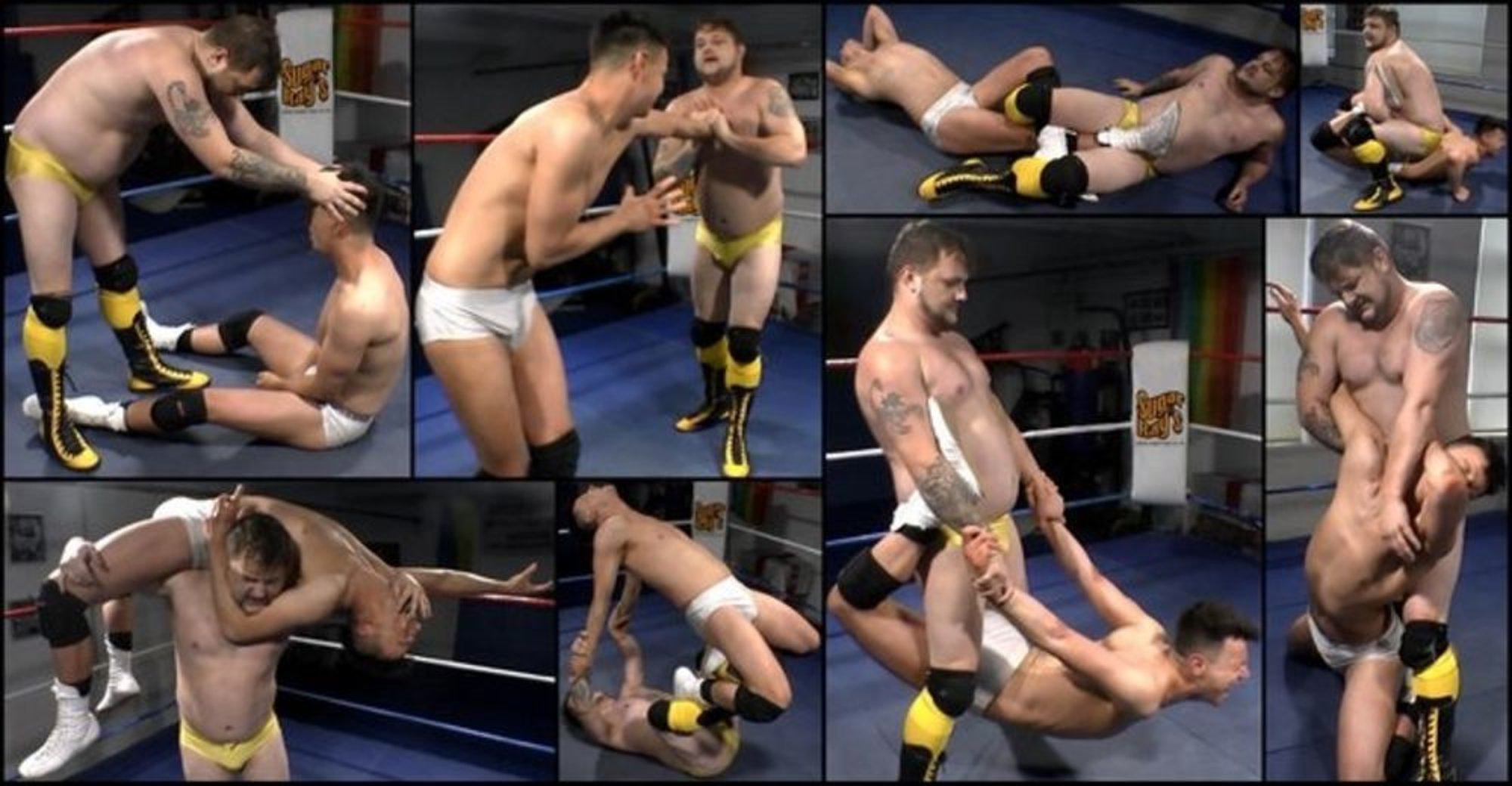 Ring Pro 6