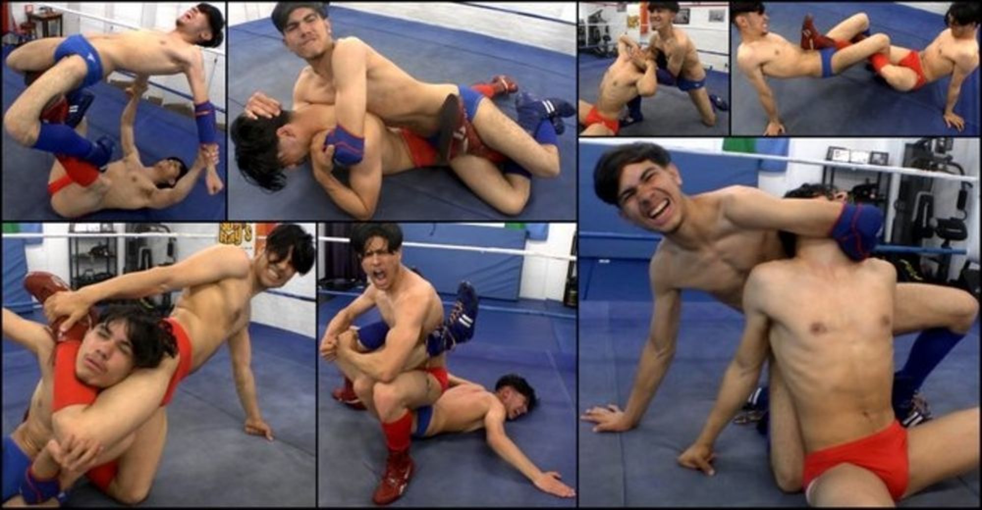 Ring Trials 12