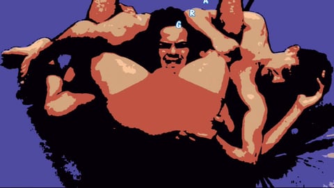 Grapplezoners 13
