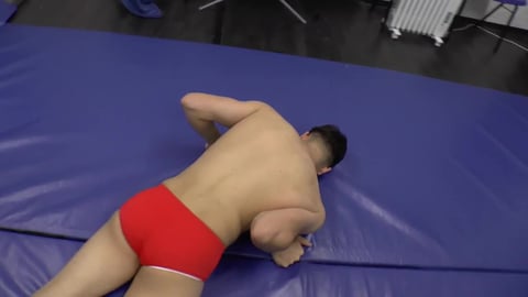 Grapplezoners 23 Double