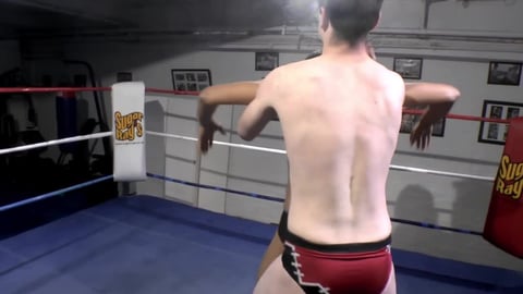 Ring Pro 4