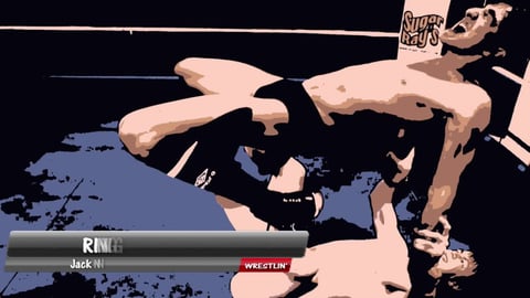 Ring Pro 4