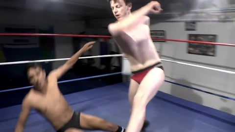 Ring Pro 4