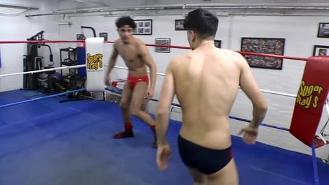 Ring Trials 8