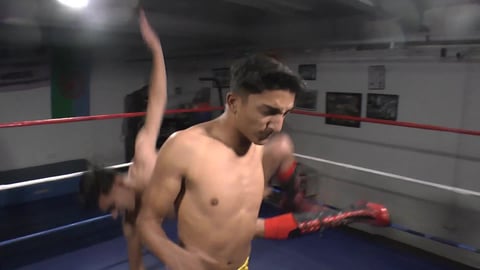 Ring Revenge