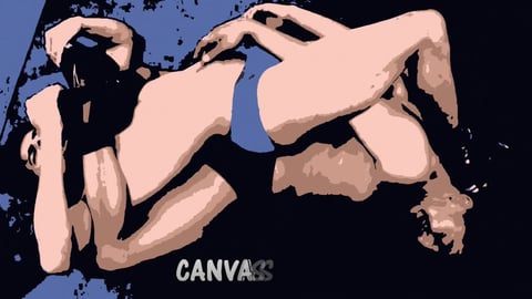 Canvas Stretchers